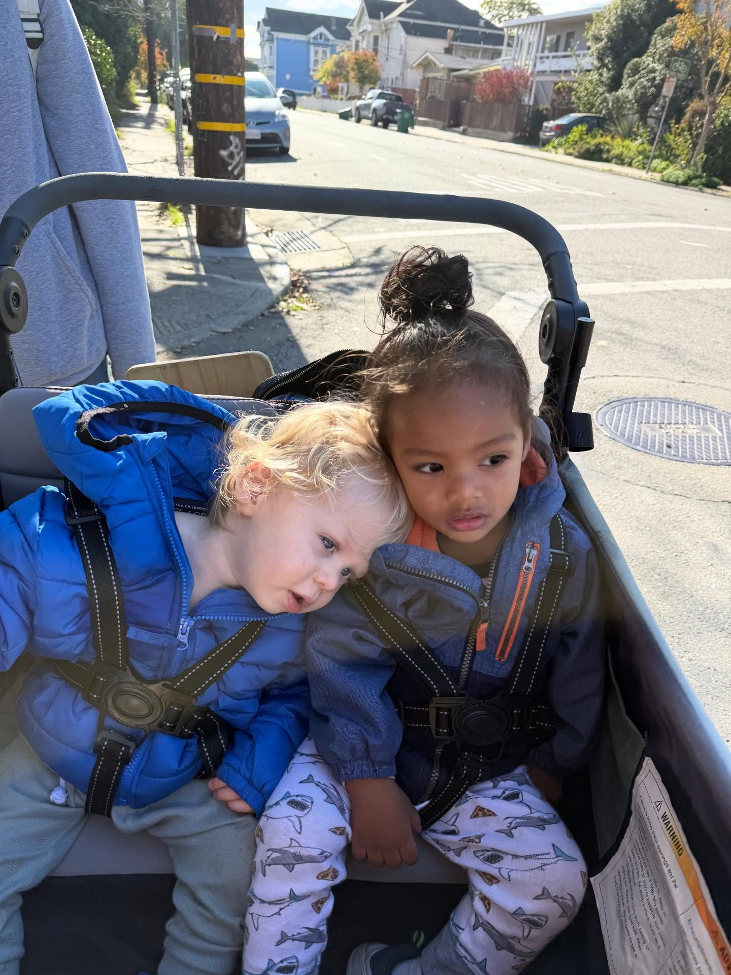 Two toddlers strapped into a stroller, leaning on one another