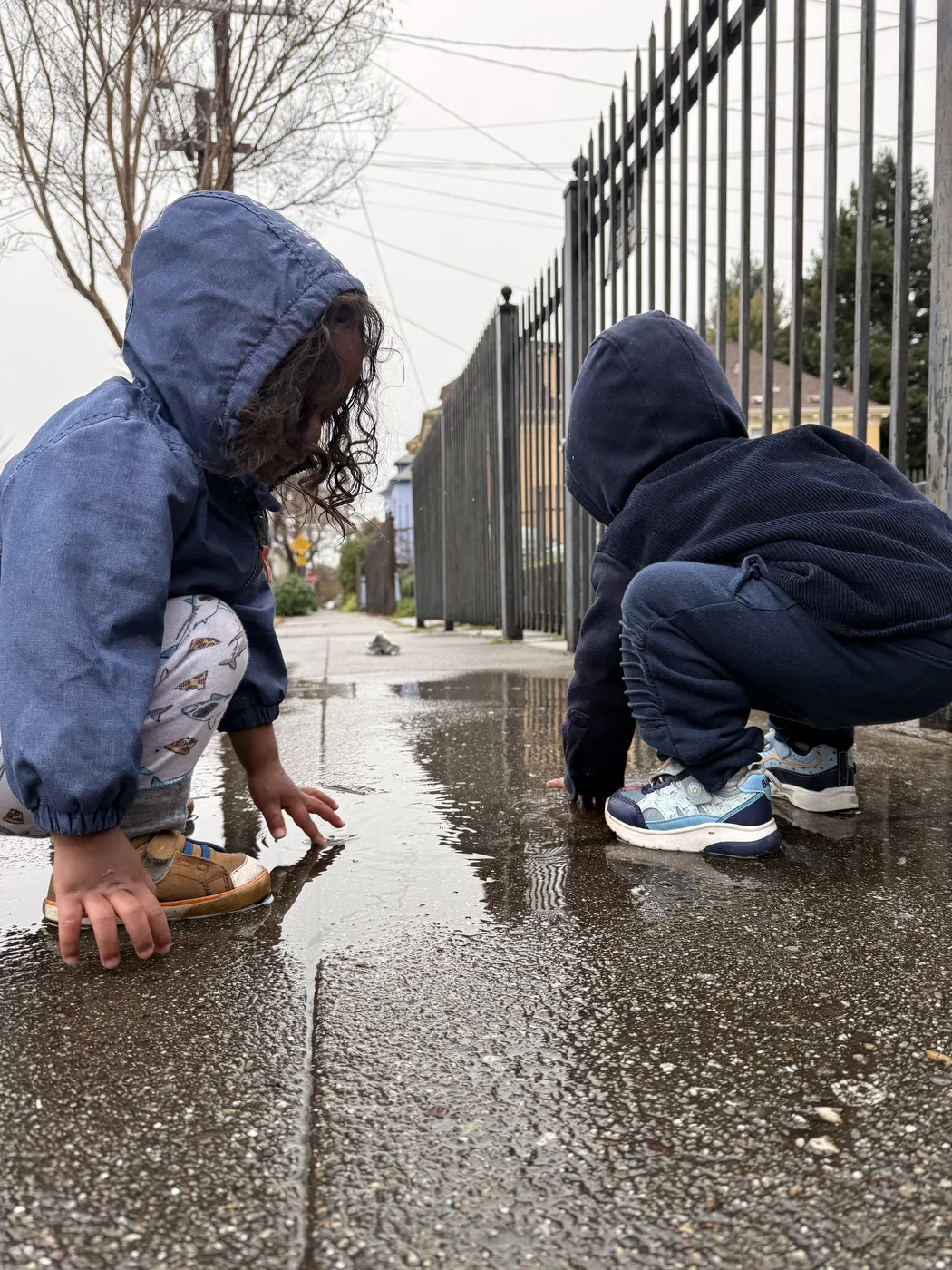 Two children in rain jackets crouching to explore puddles on a Berkeley sidewalk