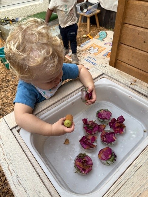 A toddler exploring rose petals frozen in ice in a sensory bin